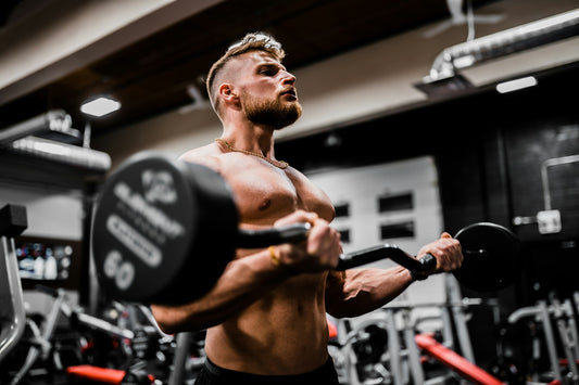 Bicep Building 101: Mastering the Barbell Curl